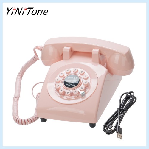 LY-1960G pink Retro Audio Guestbook Old Fashioned Design DIY Original Guestbook For Wedding Party Gathering